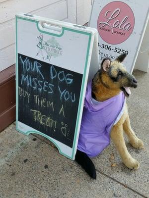 A common sight strolling past the shops on Broadway. Don't forget your furry friends back home!