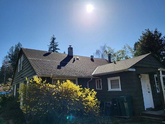 Roof Cleaning