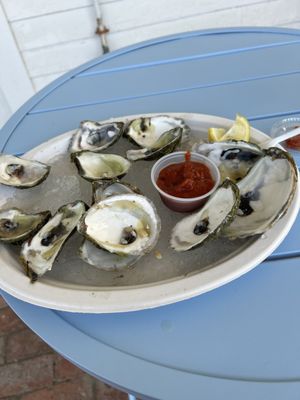 Dozen oysters