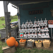 Prepicked Apples, Squash, and Gourds!