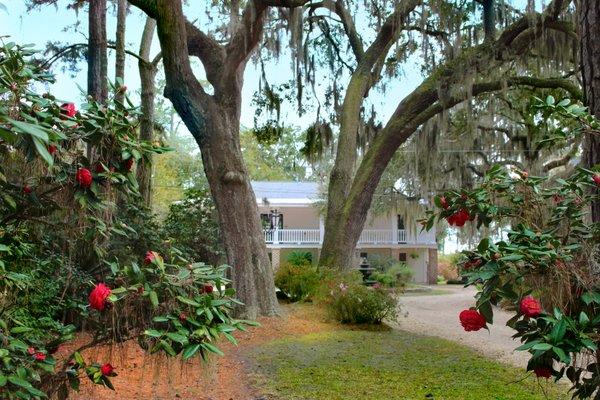 Burnside Island home sold in 2016 - Gracious oaks and beautiful camellias! Welcome to the South!