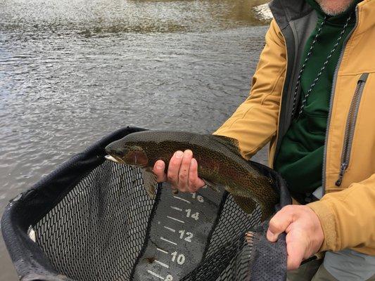 Madden's Missouri River Fly Fishing Guides