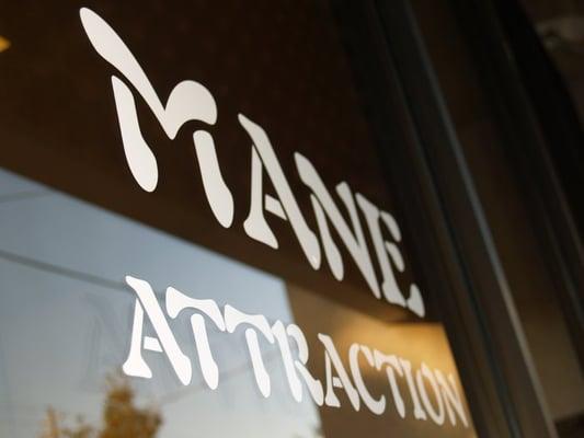 Mane Attraction Concepts Salon