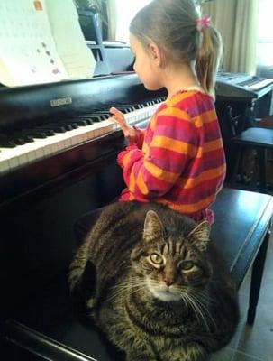 Lessons can be fun!  Toni the cat occasionally assists during piano lessons in the Moraga studio!