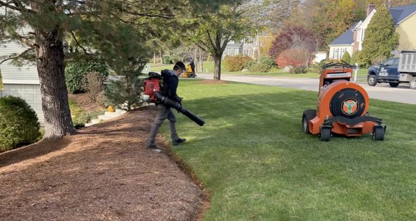 Leaf cleanup in action