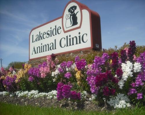 Lakeside Animal Clinic