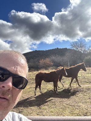 Check out Mike getting to spend some time with our customer's horses and enjoying the beautiful day in Prescott.