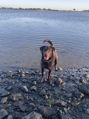 Koda says: "Anyone want to go swimming?" Lol