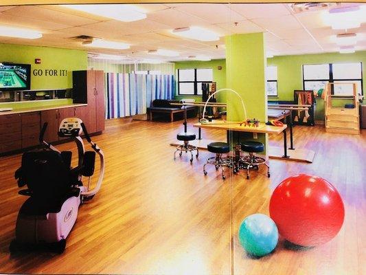 Therapy Gym with complete team of Physical, Occupational, Speech therapists and therapy assistants.