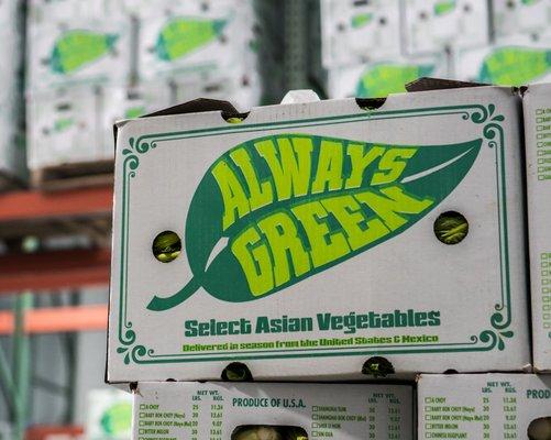 Always Green Corporation