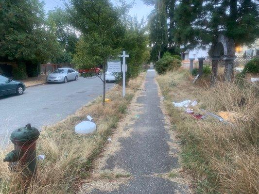 Abandoned and trashed lot with needles and homeless encampment owned by Thomas James Homes