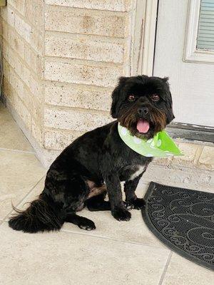 Mr panther loves his groomers.