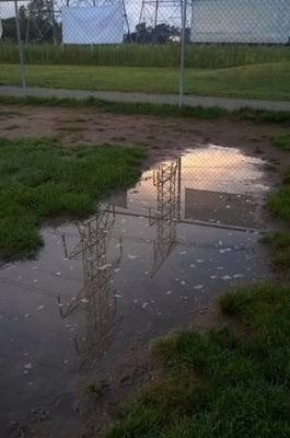 Electrical transmission lines reflecting on one of the many puddles at the dog park.