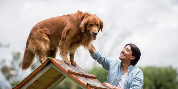 Sublime K9 Training & Boarding