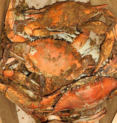 6 small/ medium/ large crab mix.