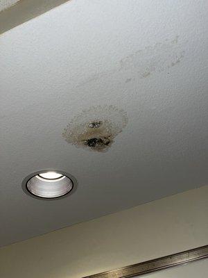 Stains in the ceiling