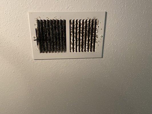 Mold all over the air vents