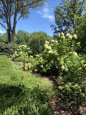 Kitchen garden