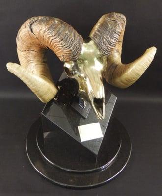 Old Scarface - limited edition Big Horn Sheep.