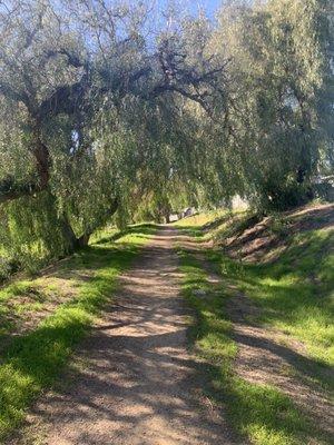 Bandini Canyon Trail Park