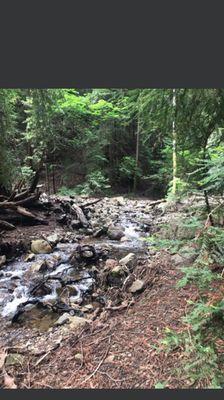 Spring fed creek nearby just created a magical backdrop.