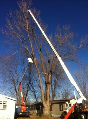 Minneapolis Tree and Crane