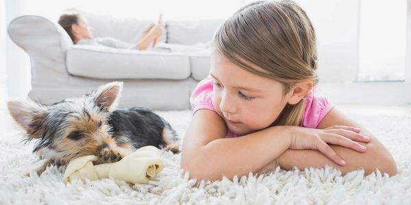 Pet and Kid friendly cleaning services