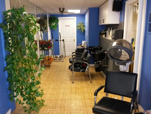 The Comfort Zone Salon