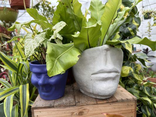 Face planters