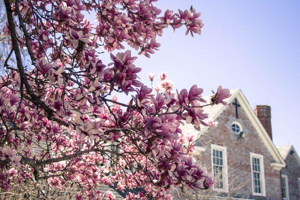 Edwards Hall in the spring