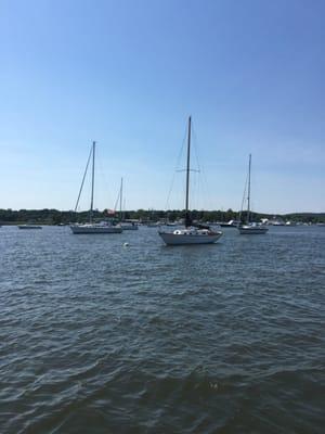 View of the mooring field