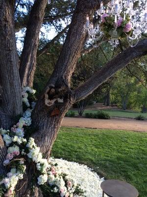 White House Studio Design- A beautiful vision for the ceremony tree!