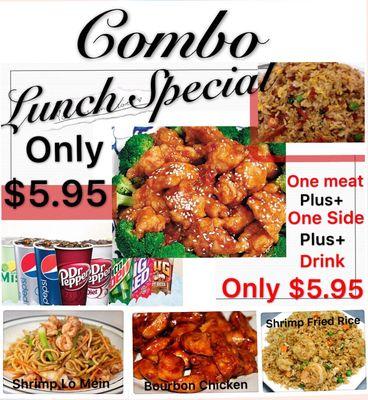 Lunch Special only $5.95