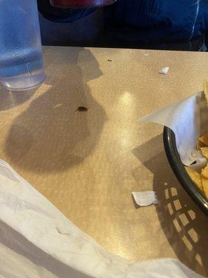 ROACH on the table at Dos Palmas.