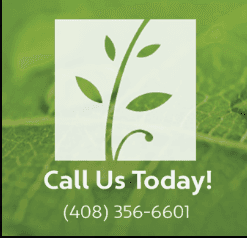 Los Gatos Oriental Medicine