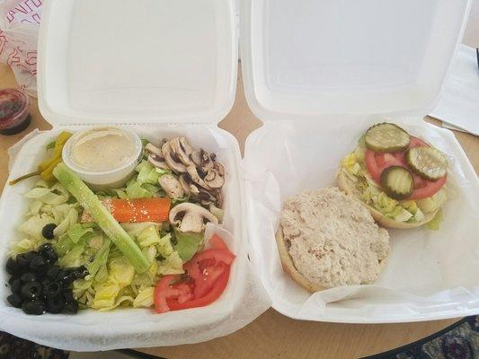 Salad on the left as substitute for fries and tuna sandwich on the right.