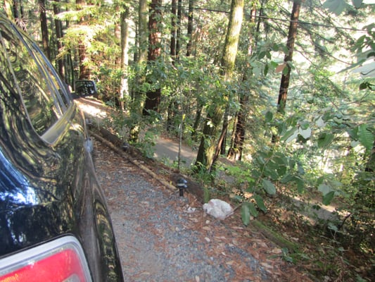 Photo taken from "driveway" of Seaton Hill House, 17735 Santa Rosa in Guerneville, CA