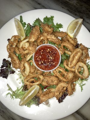 Fried calamari appetizer served with spicy tomato sauce