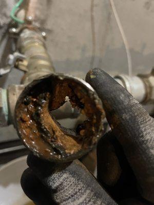 Who's Thirsty? This is Another reason you should hire a licensed plumber to work on your plumbing.