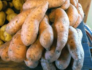 Sweet potatoes.