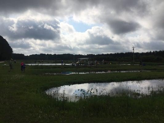 UF IFAS Fishing Ponds