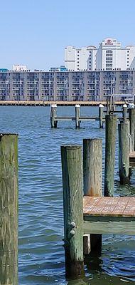 Ocean High dock view toward oceanside, Ocean City MD.