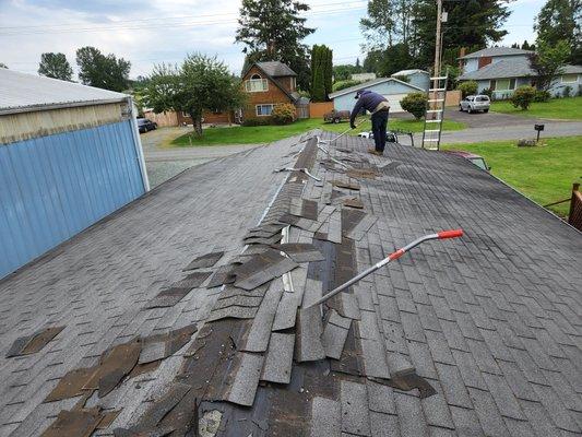 Pre tear off roof for a customer