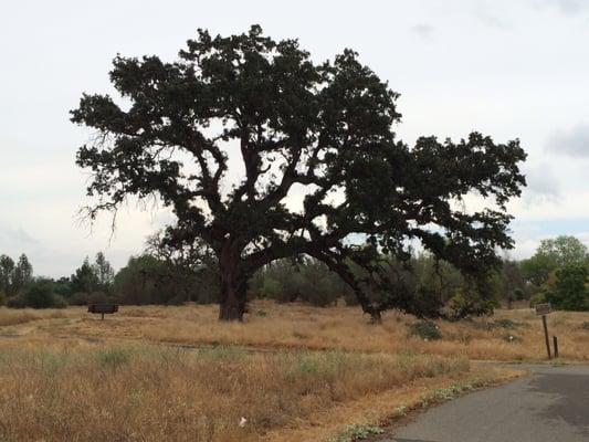 Red Bluff Recreation Area