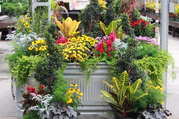 Fall Containers and Plants at Green Valley Garden Center