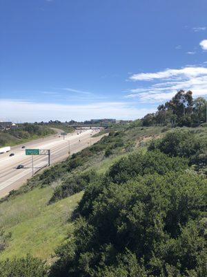 View from the bridge, 805 freeway