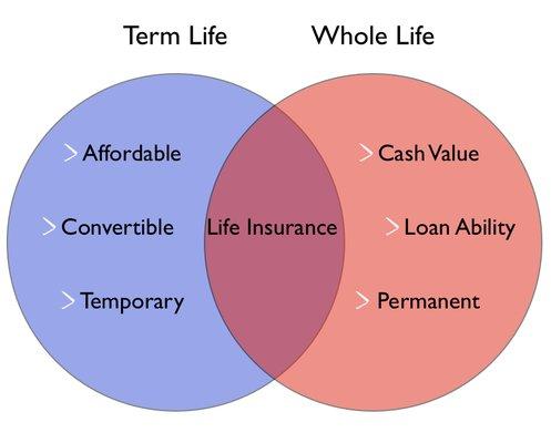 Term Life and Whole Life Insurance