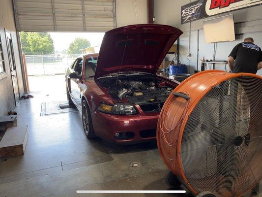 My 03 Cobra on the dyno