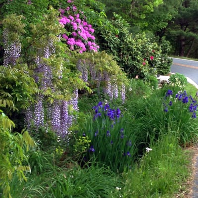 Springtime at the Inn.