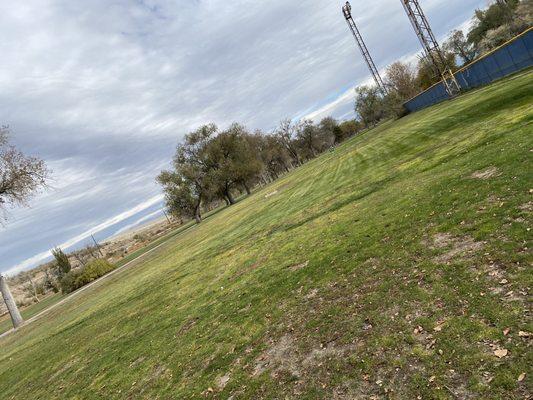 Beautiful day to learn golf